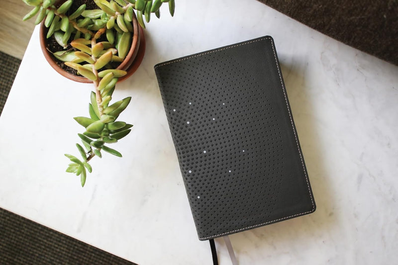 NIV Clear Focus Bible (Charcoal Brown Leathersoft)