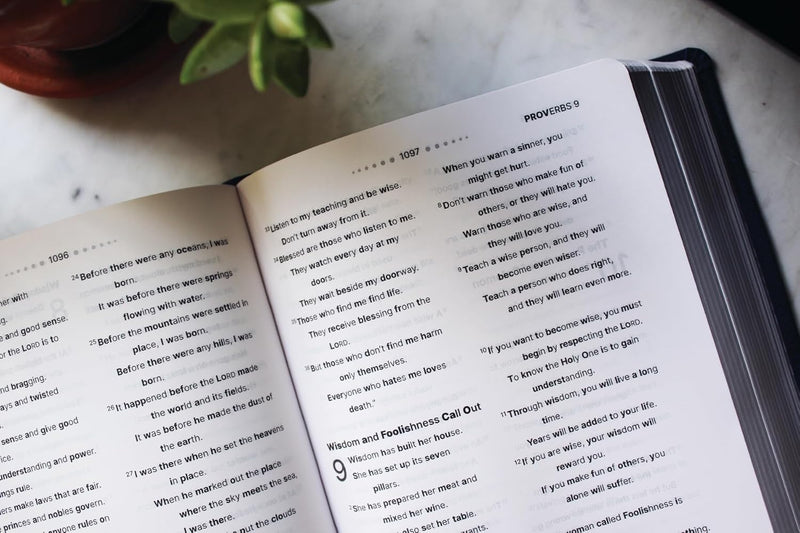 NIrV Clear Focus Bible (Navy Leathersoft)