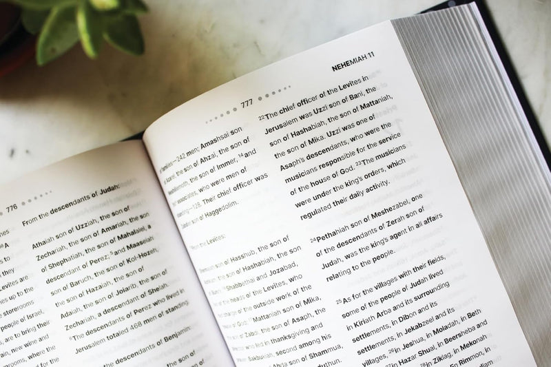 NIV Clear Focus Bible (Charcoal/Copper Hardcover)