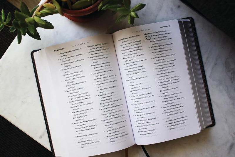 NASB Clear Focus Bible (Charcoal Brown Leathersoft)