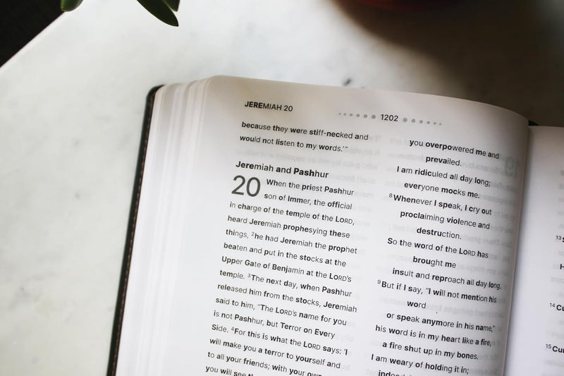 NIV Clear Focus Bible (Charcoal Brown Leathersoft)