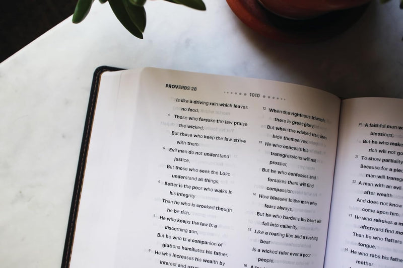 NASB Clear Focus Bible (Charcoal Brown Leathersoft)