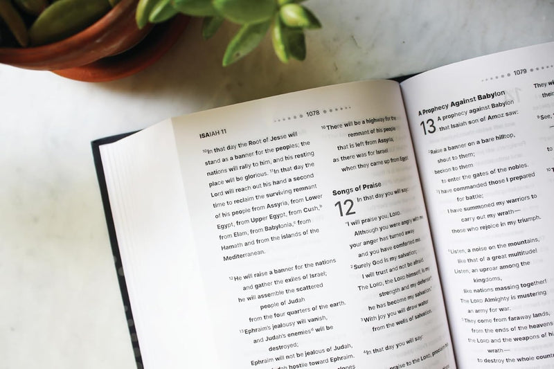 NASB Clear Focus Bible (Charcoal/Gold Hardcover)