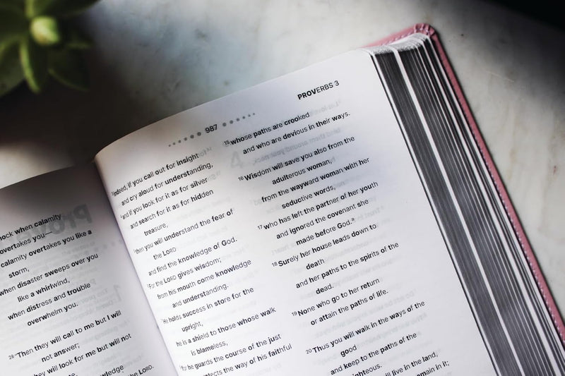 NIV Clear Focus Bible (Leathersoft Pink)