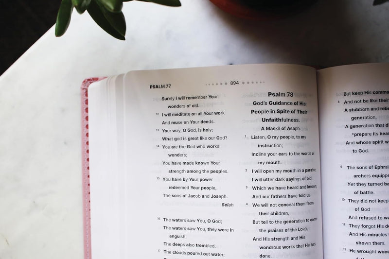 NASB Clear Focus Bible (Pink Leathersoft)