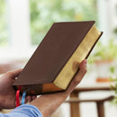 NET Bible, Full Notes Edition (NET, Brown Genuine Leather, Comfort Print): Holy Bible