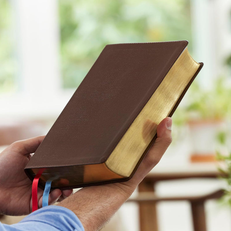 NET Bible, Full Notes Edition (NET, Brown Genuine Leather, Comfort Print): Holy Bible