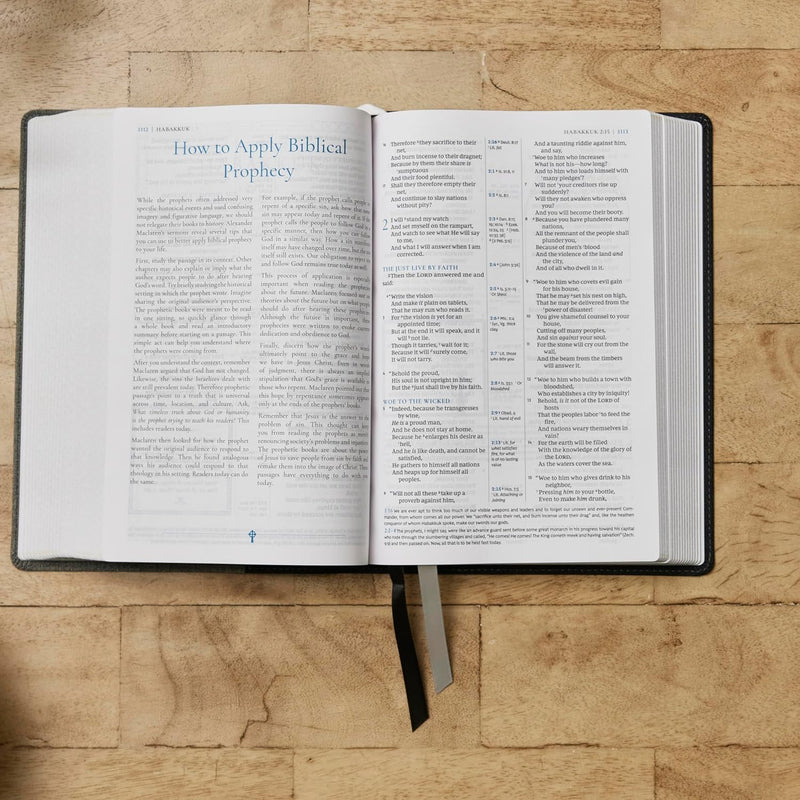 NKJV Alexander Maclaren Study Bible (Blue Leathersoft)