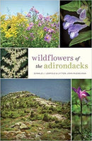 Wildflowers of the Adirondacks